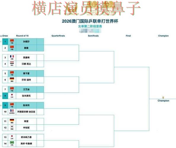 世界杯竞猜网站哪个好？围绕访问方式+直播体验做一次盘点（世界杯官方信息）