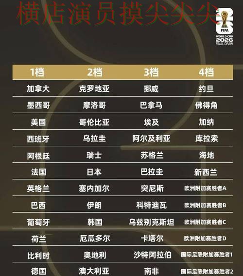 世界杯买球平台解析：用户反馈+直播全指南 - World Cup 2026